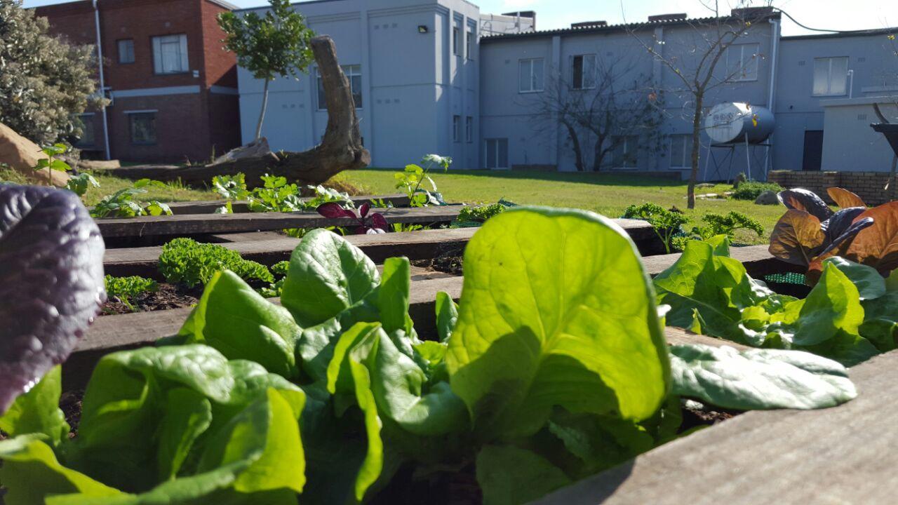 The Backpack Shack Hostel Mossel Bay Luaran gambar